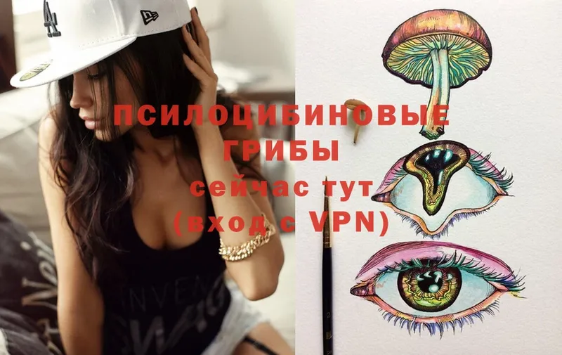 omg как войти  Карабаново  Псилоцибиновые грибы Cubensis 